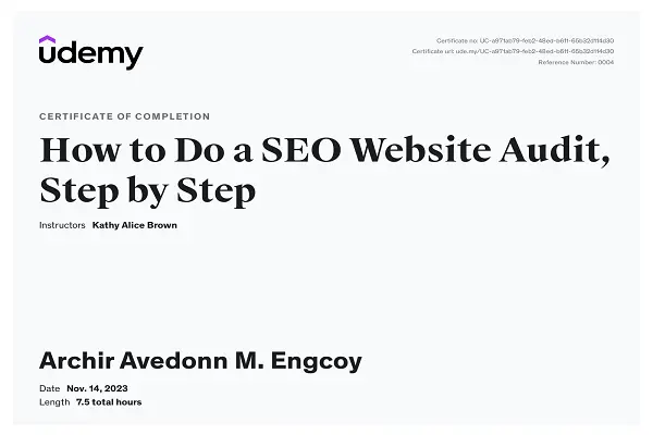 Website Audit Course